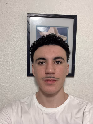 Bruno Toledo - Gallery Image 1