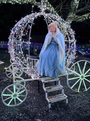 Zoli Heft - Gallery Image 3