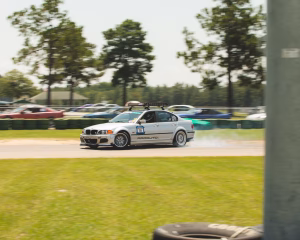 Ben Ivy - Gallery Image 7