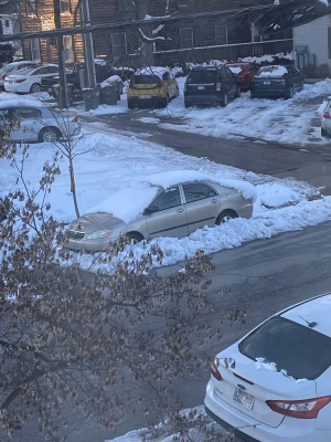 Mia Stoffel - Gallery Image 4