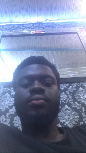 Bryant Osei Kwarteng - Gallery Image 1