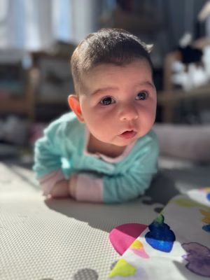 Andrew Weinert - Gallery Image 3