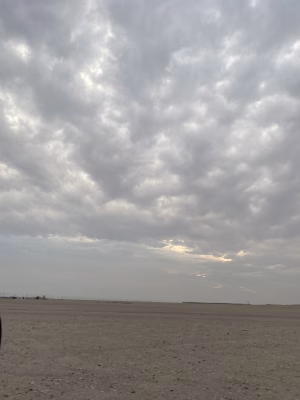 Omar Bandar - Gallery Image 4