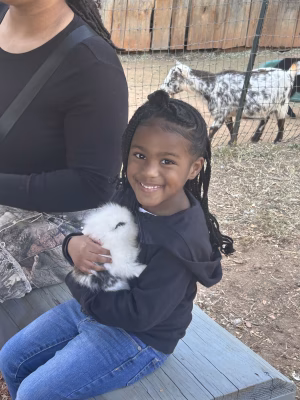 Piper Willis - Gallery Image 4