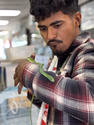 Joan Manzanares - Project Casting Gallery Image 2 Joan Manzanares - Gallery Image 2