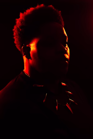 Diamond  Perkins - Gallery Image 7