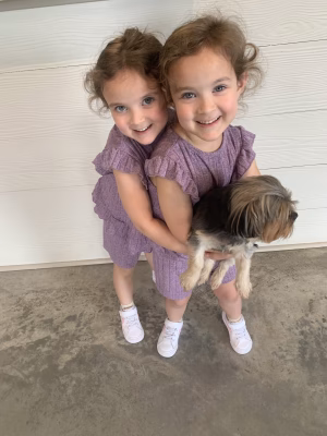 Ava & Ivy  Sistrunk - Gallery Image 8