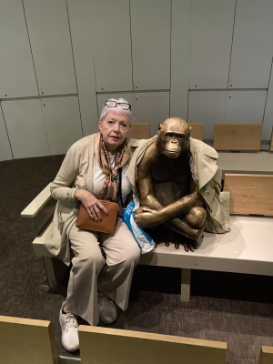 Ann  Grill - Gallery Image 17