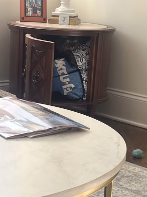 Angelina DiTommaso - Project Casting Gallery Image 6 Angelina DiTommaso - Gallery Image 6