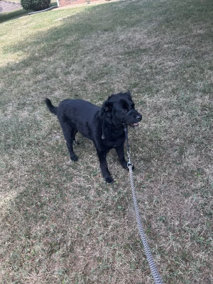 Ella Stidham - Gallery Image 6