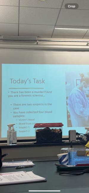 Thalia Aguiiar - Gallery Image 3