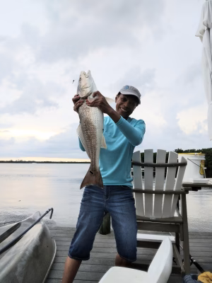 Lula Dixon - Gallery Image 18