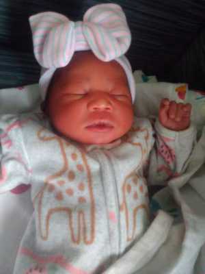 Stefon Noell - Gallery Image 1