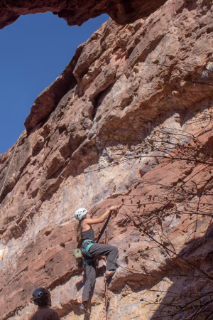 Rylee Ericson - Gallery Image 3