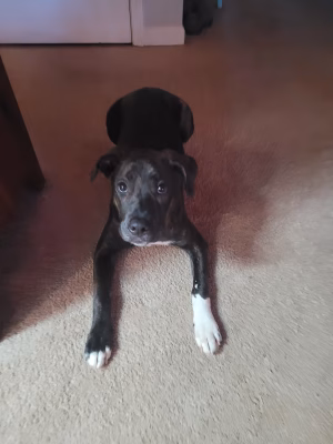 Sherry Rose - Gallery Image 3