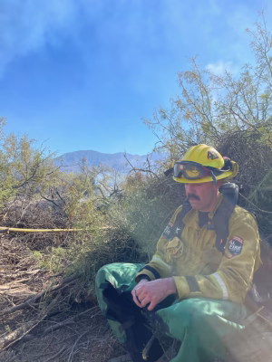 Cole Rider - Gallery Image 1