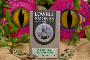 Jennifer Vilchiz - Gallery Image 2