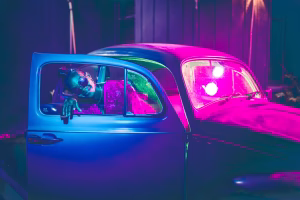 Priscilla Martins - Gallery Image 7