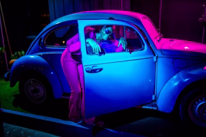 Priscilla Martins - Gallery Image 9