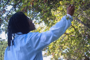 jeànmàrie lambert - Gallery Image 9