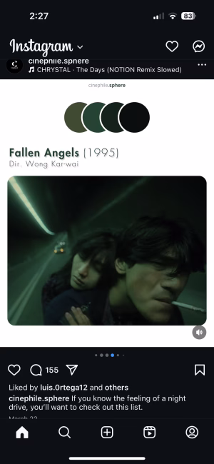 Jayme Chiurri-Richard - Gallery Image 4