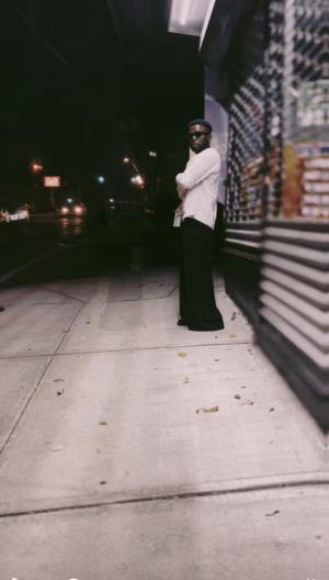 Romario Saint Georges - Gallery Image 3