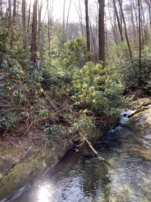 Dylan Gooding - Gallery Image 1