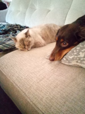 Melissa Smith - Project Casting Gallery Image 4 Melissa Smith - Gallery Image 4