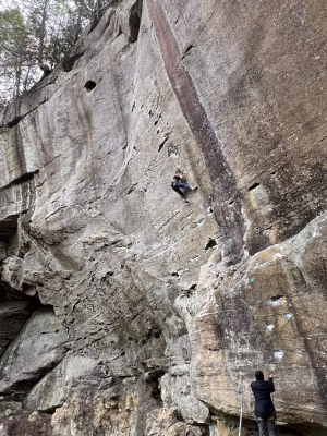 Brandi Ingle - Project Casting Gallery Image 2 Brandi Ingle - Gallery Image 2