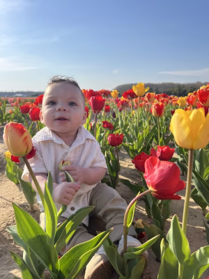 Roman Ambroise - Gallery Image 4