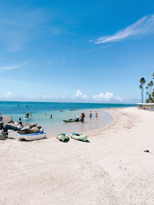 Bethany Gonzalez - Gallery Image 9