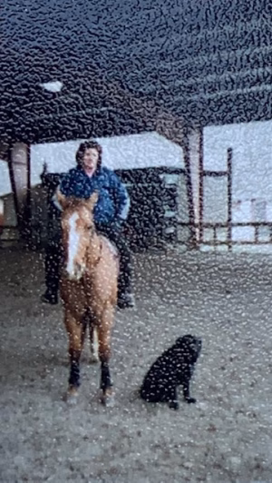 Jardy Collins - Gallery Image 2