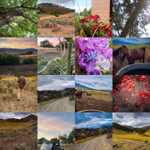 jeànmàrie lambert - Gallery Image 1