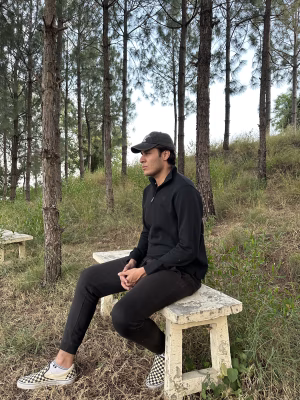 Muhammad  Sikander - Gallery Image 4