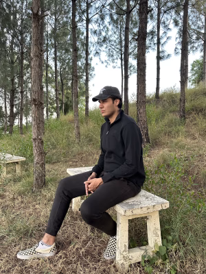 Muhammad  Sikander - Gallery Image 5