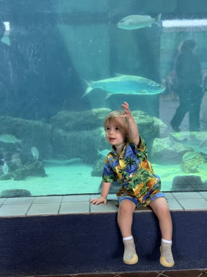 Levent Whalen - Gallery Image 4