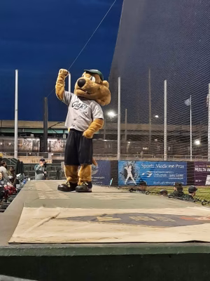 Bradley Bieniak - Gallery Image 2