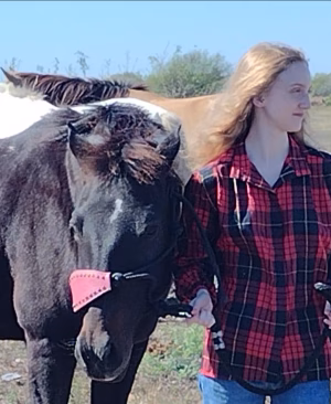 Elysia Storm - Gallery Image 14