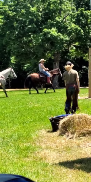 Sophia Mussari - Gallery Image 15