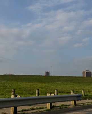 cropped_image-621