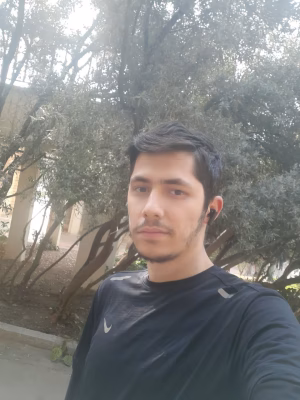 arman nasiri - Gallery Image 1