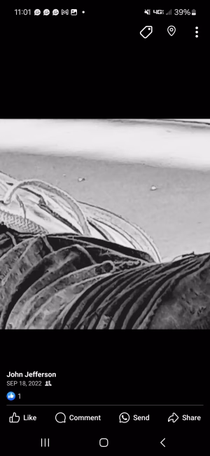 John Jefferson - Gallery Image 8