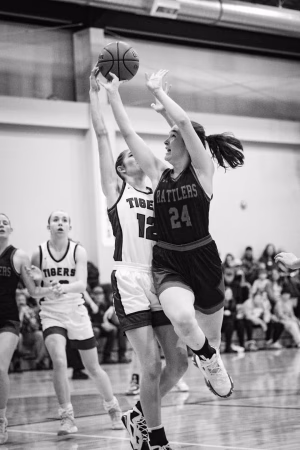 Joni Oberg - Gallery Image 4