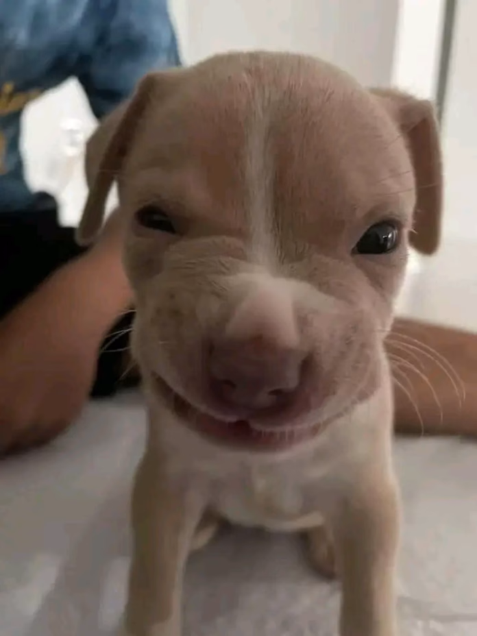 Lee Mwangwewo - Profile Photo