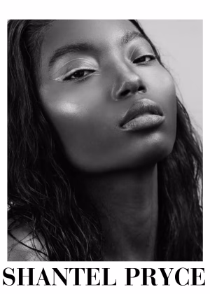 Shantel Pryce - Project Casting Gallery Image 3 Shantel Pryce - Gallery Image 3