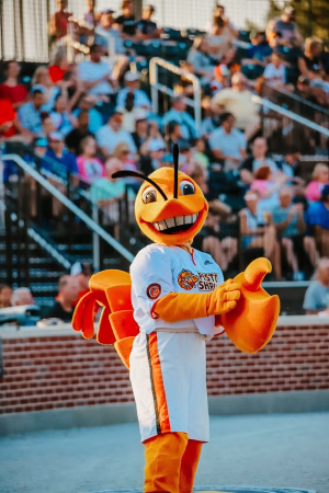 Alexander Kniss - Gallery Image 3