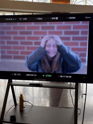 Steph Cohen - Gallery Image 3