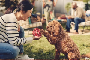 Judy Lee - Gallery Image 2