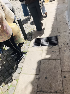 Carol Morrow - Gallery Image 5