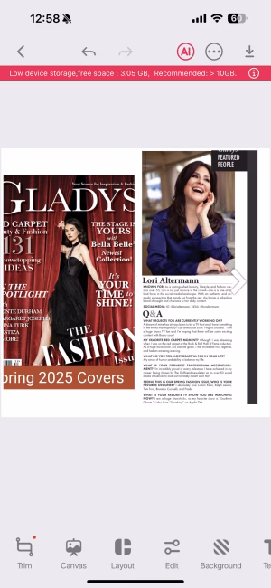 Lori Altermann - Gallery Image 38